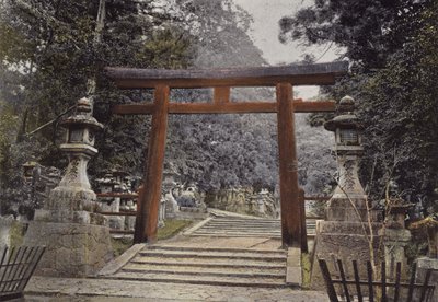 Torii d